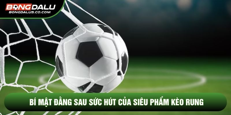 Bí mật đằng sau sức hút của siêu phẩm kèo rung