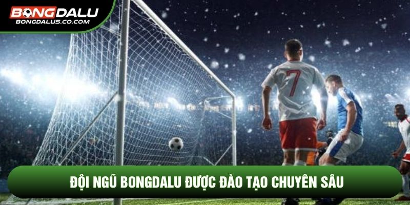 Đội ngũ Bongdalu được đào tạo chuyên sâu