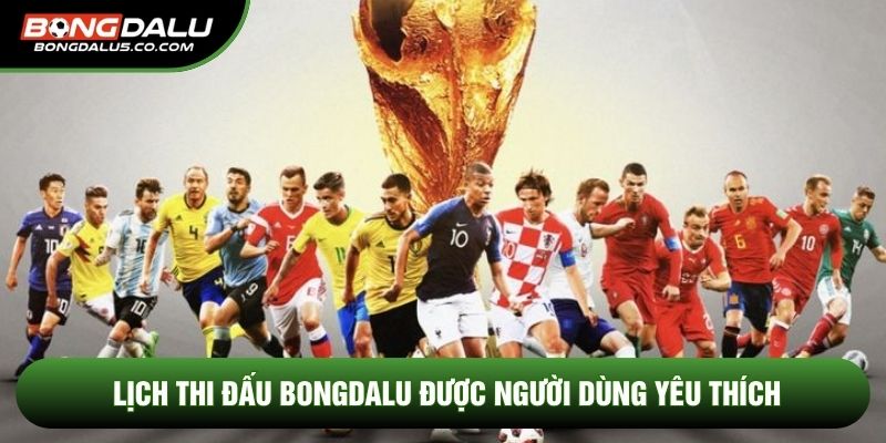 Lịch thi đấu Bongdalu được người dùng yêu thích