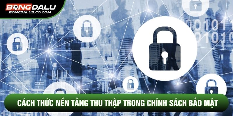 Cách thức nền tảng thu thập trong Chính sách bảo mật