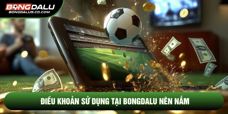 Điều khoản sử dụng tại Bongdalu nên nắm
