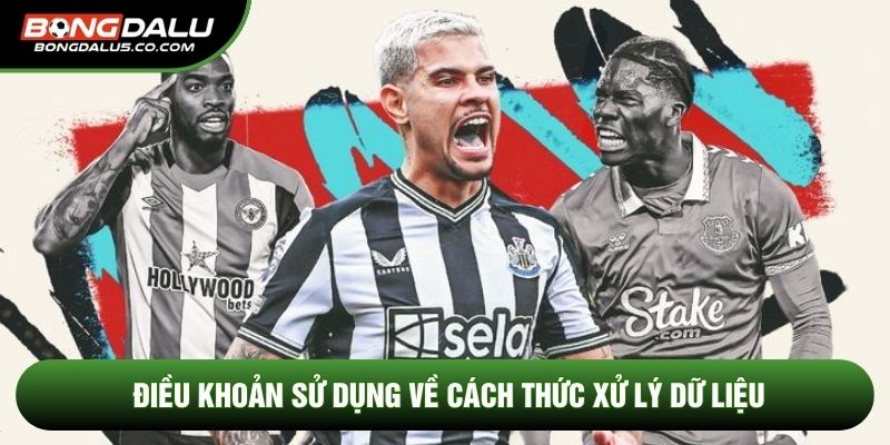 Điều khoản sử dụng về cách thức xử lý dữ liệu