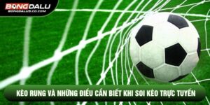 Kèo Rung Và Những Điều Cần Biết Khi Soi Kèo Trực Tuyến