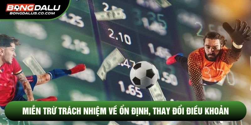 Miễn trừ trách nhiệm về ổn định, thay đổi điều khoản